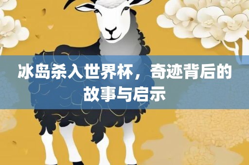 冰岛杀入世界杯，奇迹背后的故事与启示眉山市正发家政服务有限公司