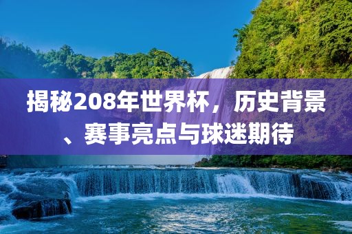 揭秘208年世界杯，历史背景、赛事亮点与球迷期待眉山市正发家政服务有限公司