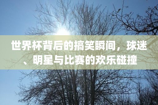 世界杯背后的搞笑瞬间，球迷、明星与比赛的欢乐碰撞