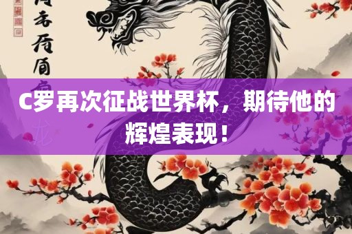 C罗再次征战世界杯，期待他的辉眉山市正发家政服务有限公司煌表现！