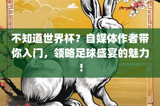 不知道世界杯？自媒体作者带你入门，领略足球盛宴的魅力！