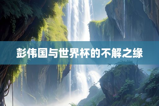 彭伟国与世界杯的不解之缘眉山市正发家政服务有限公司