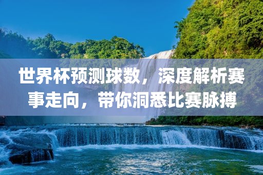 世界杯预测球数，深度解析赛事走向，带你洞悉比赛脉搏