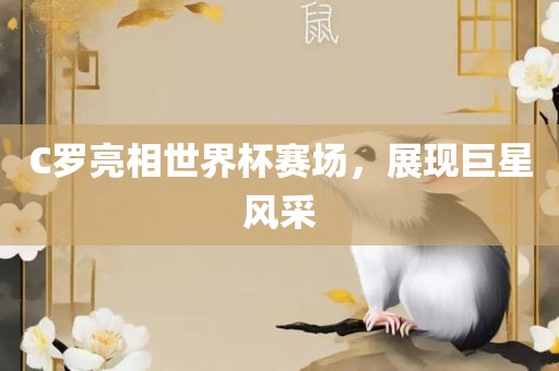C罗眉山市正发家政服务有限公司亮相世界杯赛场，展现巨星风采