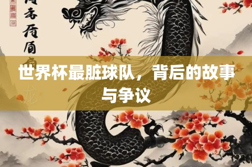 世界杯最脏球队，背后的故事与争议