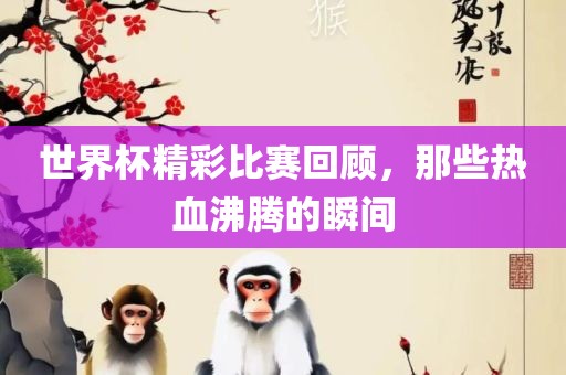 世界杯精彩比赛回顾，那些热血沸腾的瞬间