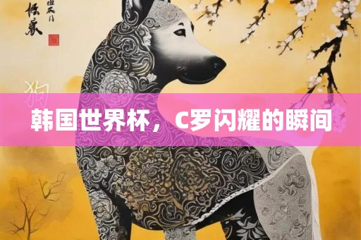 韩国世界杯，C罗闪耀的瞬间