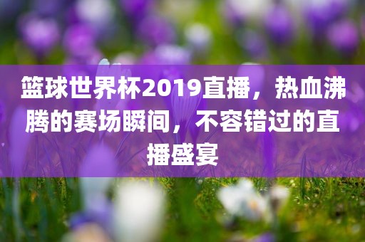 篮球世界杯2019直播，热血沸腾的赛场瞬间，不容错过的直播盛宴