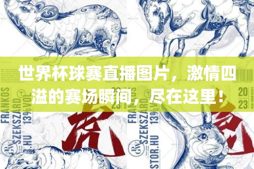 世界杯球赛直播图片，激情四溢的赛场瞬间，尽在这里！眉山市正发家政服务有限公司