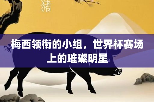 梅西领衔的小组，世界杯赛场上的璀璨明星眉山市正发家政服务有限公司