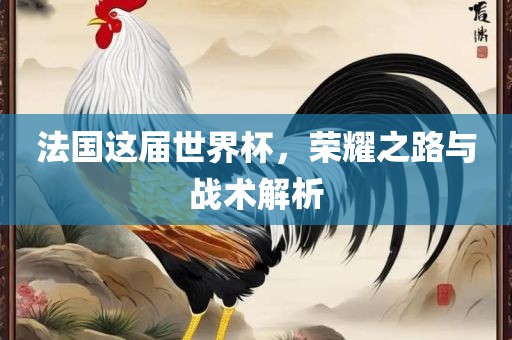 法国这届世界杯，荣耀之路与战术解析