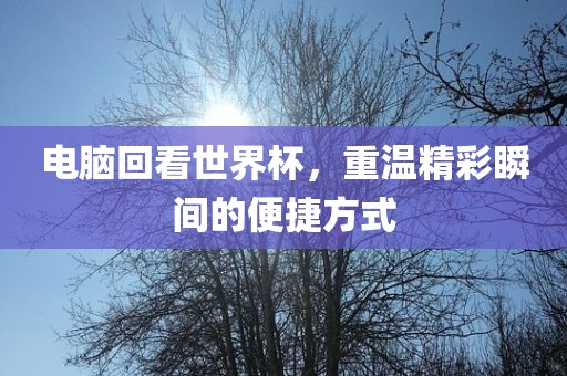 电脑回看世界杯，重温精彩瞬间的便捷方式