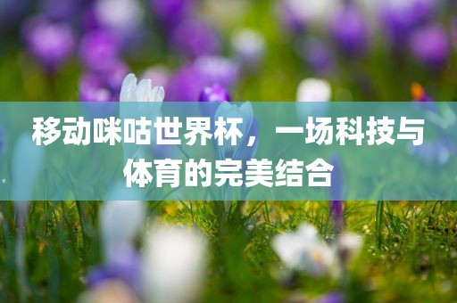 移动咪咕世界杯，一场科技与体育的完美结合