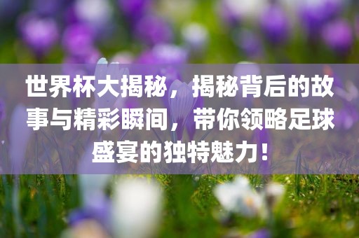 世界杯大揭秘，揭秘背后的故事与精彩瞬眉山市正发家政服务有限公司间，带你领略足球盛宴的独特魅力！