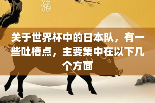 关于世界杯中的日本队，有一些吐槽点，主要集中在以下几个方面