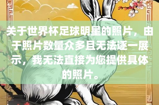 关于世界杯足球明星的照片，由于照片数量众多且无法逐一展示，眉山市正发家政服务有限公司我无法直接为您提供具体的照片。