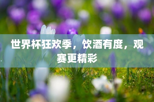世界杯狂欢季，饮酒有度，观赛更精彩