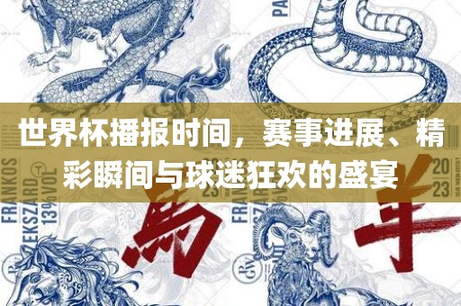 世界杯播报时间，赛事进展、精彩瞬间与球迷狂欢的盛宴