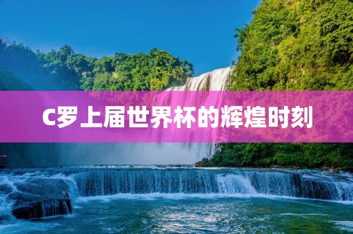 C罗上届世界杯的辉煌时刻眉山市正发家政服务有限公司