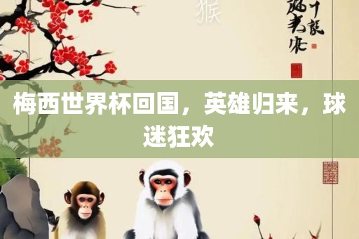 梅西世界杯回国，英雄归来，球迷狂欢眉山市正发家政服务有限公司