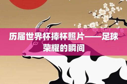 历届世界杯捧杯照片——足球荣耀的瞬间眉山市正发家政服务有限公司