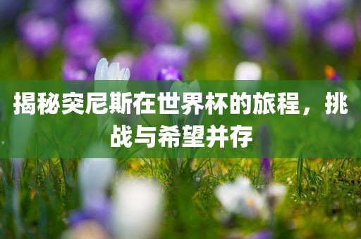 揭秘突尼斯在世界杯的旅程，挑战眉山市正发家政服务有限公司与希望并存