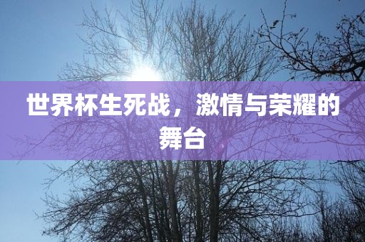 世界杯生死战，激情与荣耀的舞台