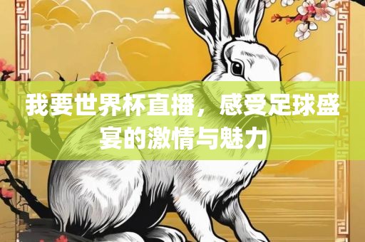 世界杯直播 第2页