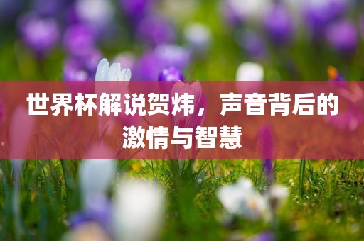 世界杯解说贺炜，声音背后的激情与智慧眉山市正发家政服务有限公司