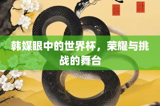 韩媒眼中的世界杯，荣耀与挑战的舞台眉山市正发家政服务有限公司