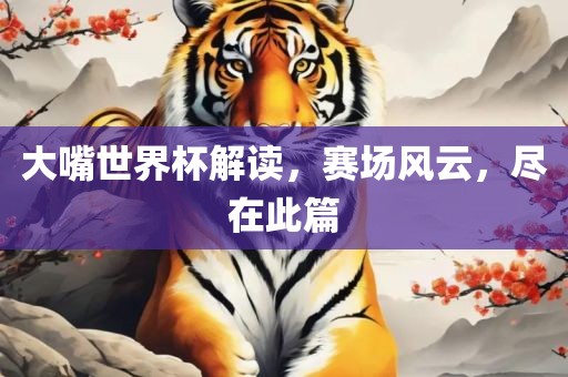 大嘴世界杯解读，赛场风云，尽在此篇