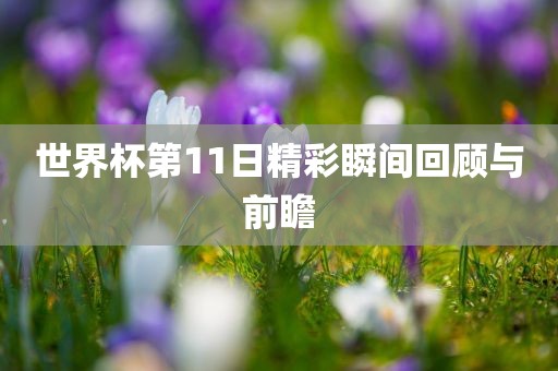 世界杯第11日精彩瞬间回顾与前瞻眉山市正发家政服务有限公司