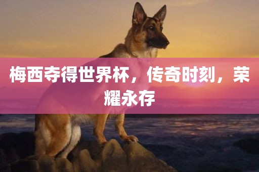 梅西夺得世界杯，传奇时刻，荣耀永存