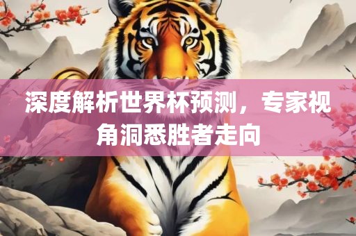 深度解析世界杯预测，专家视角洞悉胜者走向