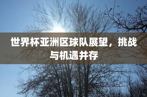 世界杯亚洲区球队展望，挑战与机遇并存