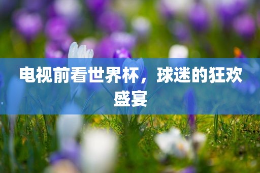 电视前看世界杯，球迷的狂欢盛宴