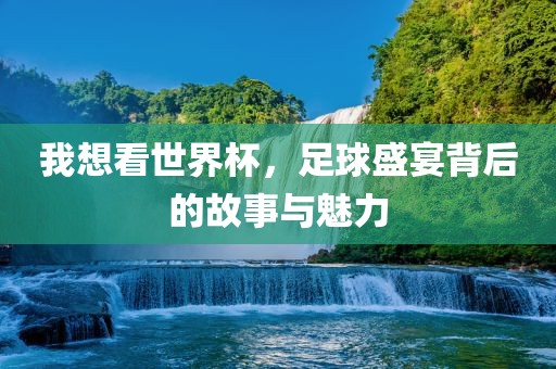 我想看世界杯，足球盛宴背后的故事与魅力眉山市正发家政服务有限公司