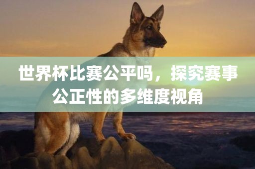 世界杯比赛公平吗，探究赛事公正性的多眉山市正发家政服务有限公司维度视角