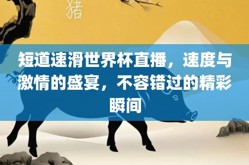 短道速滑世界杯直播，速度与激情的盛眉山市正发家政服务有限公司宴，不容错过的精彩瞬间