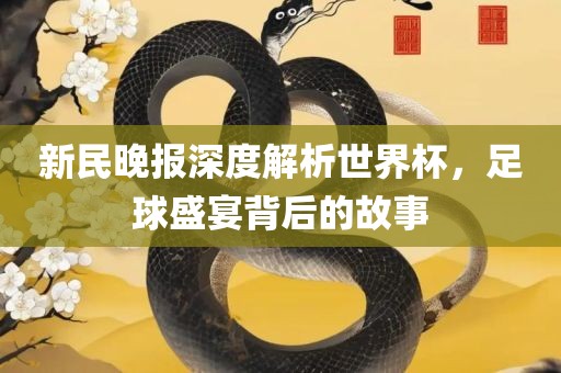 新民晚报深度解析世界杯，足球盛宴背后的故事
