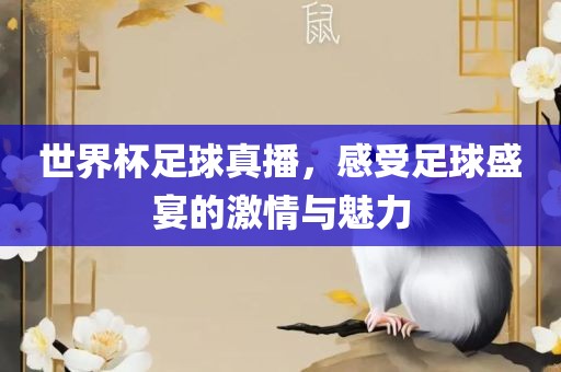 世界杯足球真播，感受足球盛宴的激情与魅力