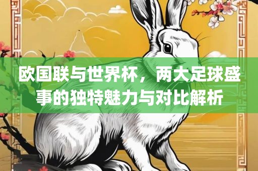 欧国联与世界杯，两大足球盛事的独特魅力与对比解析眉山市正发家政服务有限公司