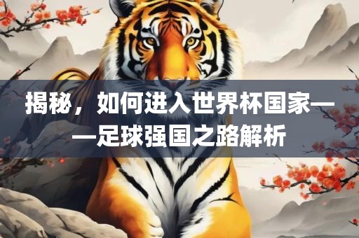揭秘，如何进入世界杯国家——足球强国之路解析眉山市正发家政服务有限公司