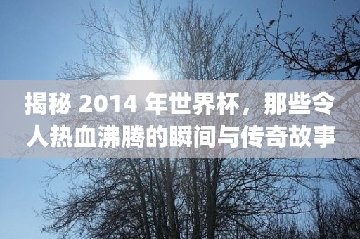 揭秘 2014 年世界杯，那些令人热血沸腾的瞬间与传奇故事