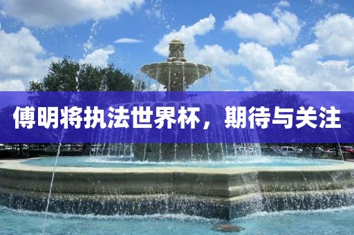 傅明将眉山市正发家政服务有限公司执法世界杯，期待与关注
