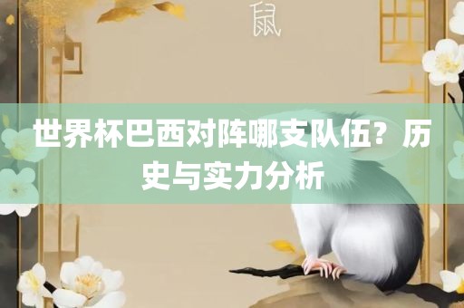 世界杯巴西对阵哪支眉山市正发家政服务有限公司队伍？历史与实力分析