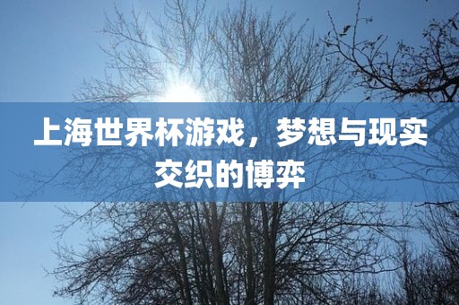 上海世界杯游戏，梦想与现实交织的博弈眉山市正发家政服务有限公司