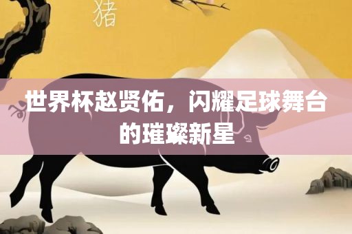 世界杯眉山市正发家政服务有限公司赵贤佑，闪耀足球舞台的璀璨新星