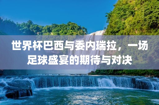 世界杯巴西与委内瑞拉，一场足球盛宴的期待与对决眉山市正发家政服务有限公司