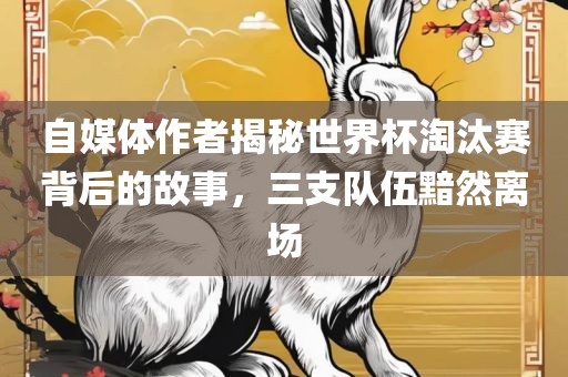 自媒体作者揭秘世界杯淘汰赛背后的故事，三支队伍黯然离场眉山市正发家政服务有限公司